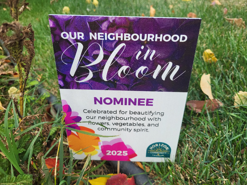 Horizon is Blooming