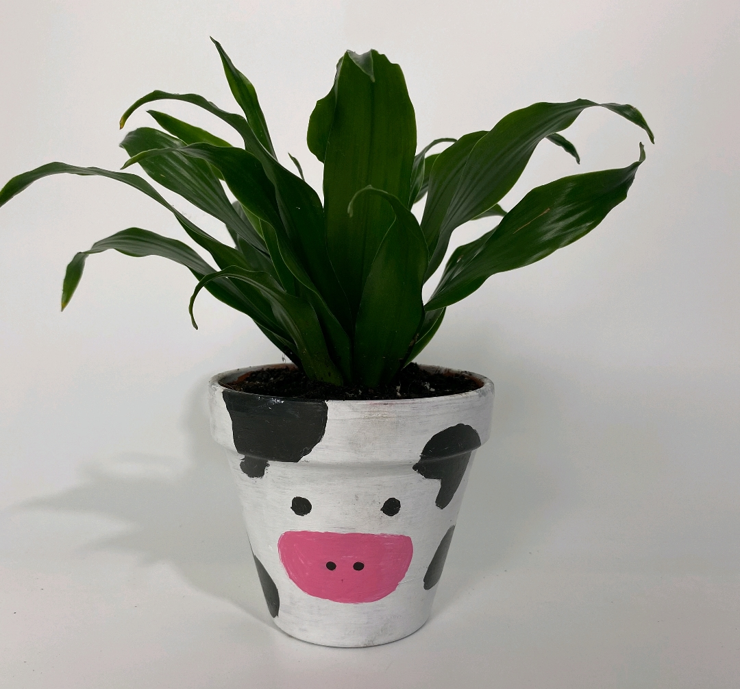 paint a pot and plant a tropical workshop for youth