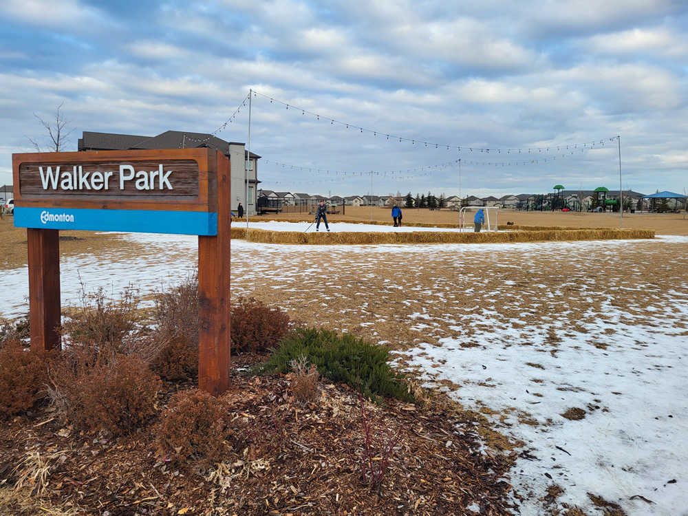 Walker community ice rink, Edmonton